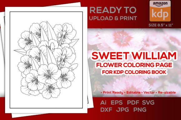Graphic Design Asset for Branding and Marketing