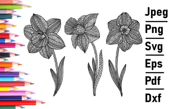 Narcissus for Adult Coloring Book Kids Graphics