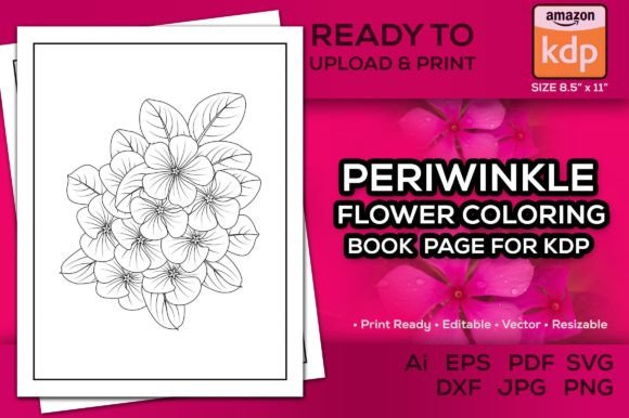 Periwinkle Flower Coloring Page for Kdp: A Graphic Design Asset for Crafting