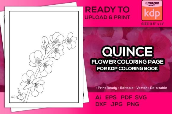 Quince Flower Coloring Page for Kdp Book: A Graphic Design Asset for Local Branding