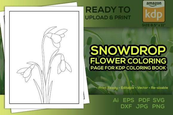 Snowdrop Flower Coloring Page for Kdp Graphics