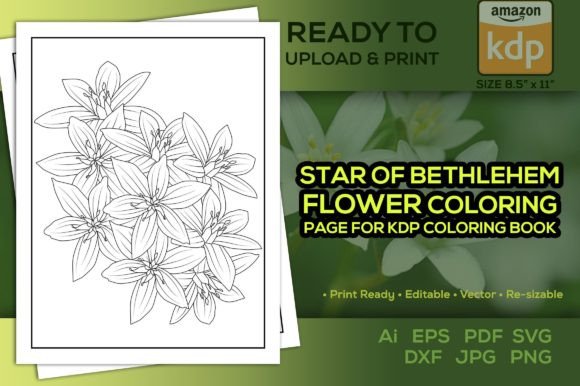 Star of Bethlehem Flower Graphics for Creative Projects